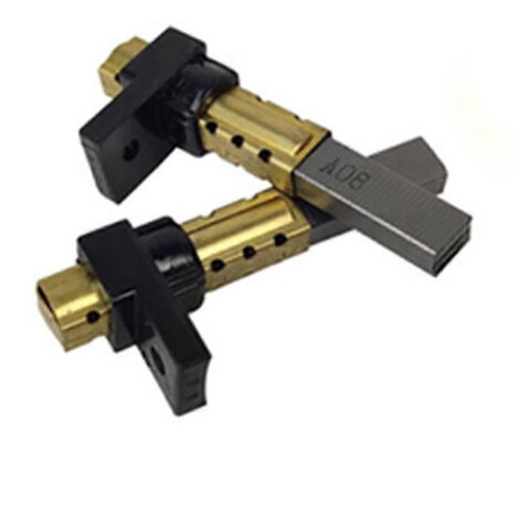 Balais de charbon de remplacement pour moteur d'aspirateur KARCHER WD3/WD2