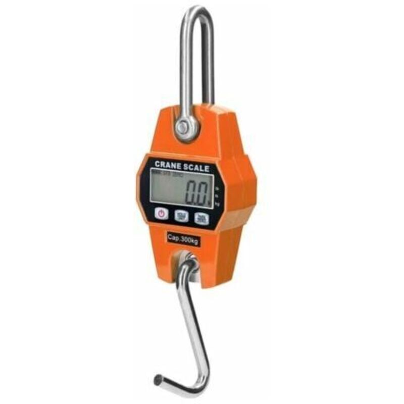 Balance à crochet, 300 kg