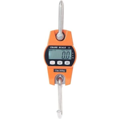 Balance Crochet Suspendu 300kg - Peson Electronique LCD Industriel 300kg/600lbs