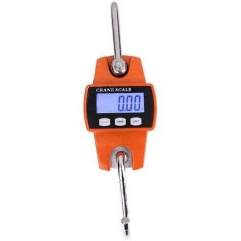 Balance Crochet Suspendu 300kg - Peson Electronique LCD Industriel 300kg/600lbs