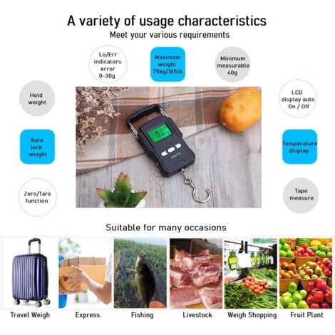 Balance de pêche, balance à bagages suspendue 75 kg, balance de pêche électronique avec écran LCD rétroéclairé, mètr