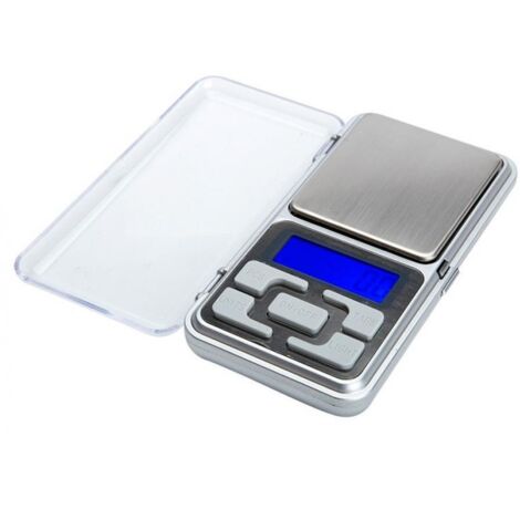 Balance de précision 0.1 grammes maxi 500 grammes pour galet de