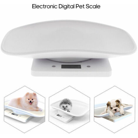 Balance électronique d'affichage d'affichage à cristaux liquides de petite balance de chat de chien de compagnie de 10kg