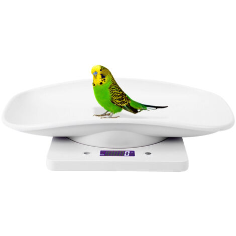 Balance électronique de cuisine 10kg/1g pour peser chats, chiens et petits animaux