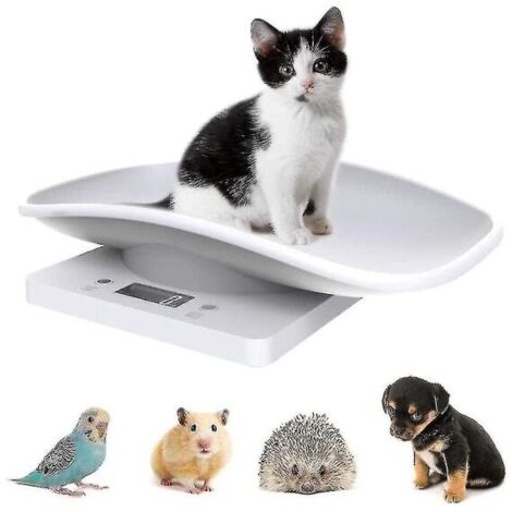 Balance électronique numérique pour animaux de compagnie, balance de cuisine avec écran LCD, capacité de 10 kg / 22 lb.-AquaForge