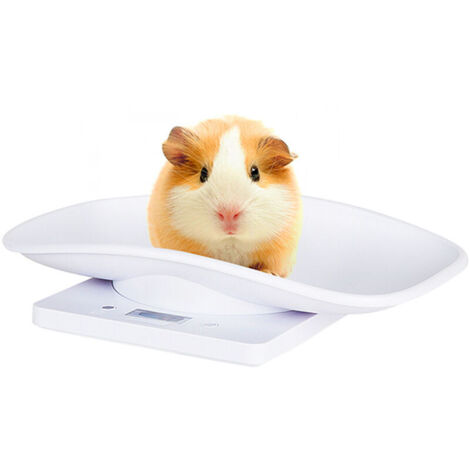 Balance Électronique pour Animaux de Compagnie, Petit Balance Numérique, 10kg/1g Écran LCD Balance Précision Mesure Outil Pesage pour Cuisine Chaton Chiots Tortue Hamster