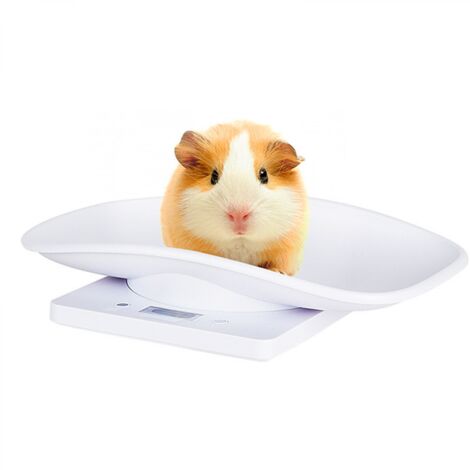 Balance électronique pour chiots, balance de cuisine, balance numérique portable avec plateau pour petits animaux de compagnie, pesée des aliments et incubation.-AquaForge