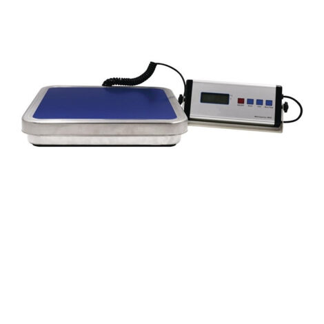 Balance Electronique Professionnelle Affichage Mural 30 Kg