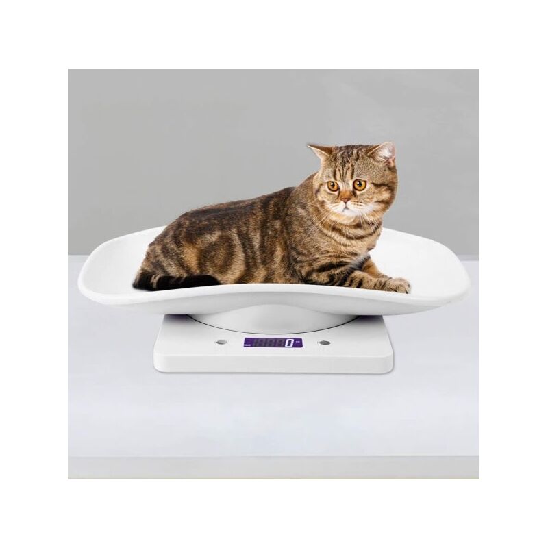 Feiyue - Balance numérique pour animaux de compagnie ic 10 kg/1 g pour une mesure précise