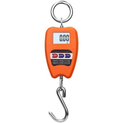 Balance Numérique Professionnelle 200kg, Dynamomètre avec Crochet Suspendu, Idéal pour Pesée de Valises et Applications Industrielles