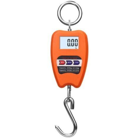 Balance Numérique Professionnelle 200kg, Dynamomètre avec Crochet Suspendu, Idéal pour Pesée de Valises et Applications Industrielles