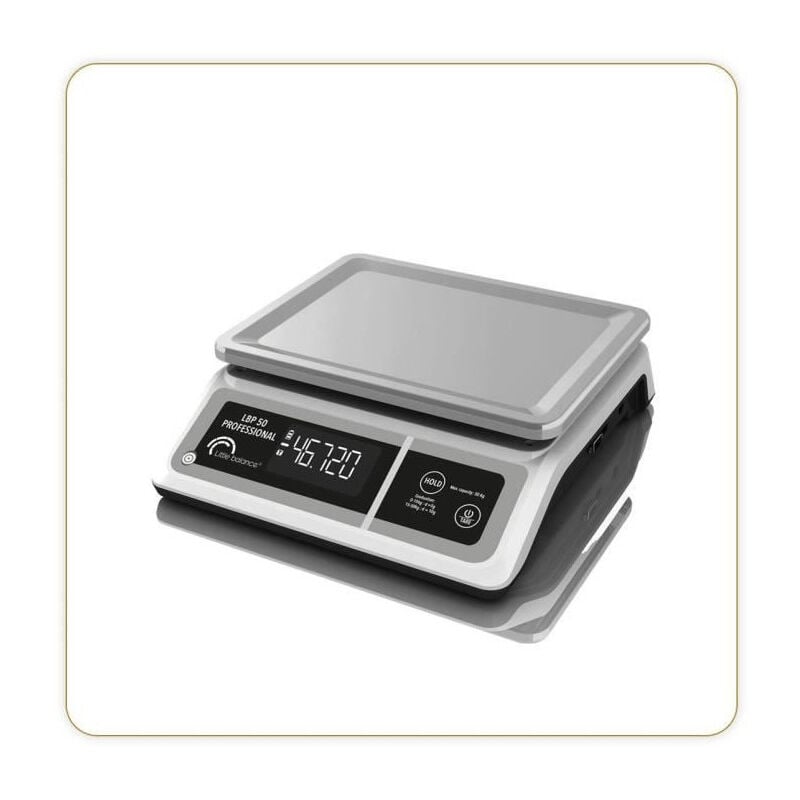 Balance professionnelle - lbp 50 Professional - usb - Gris Little Balance Balance de cuisine - 50 kg