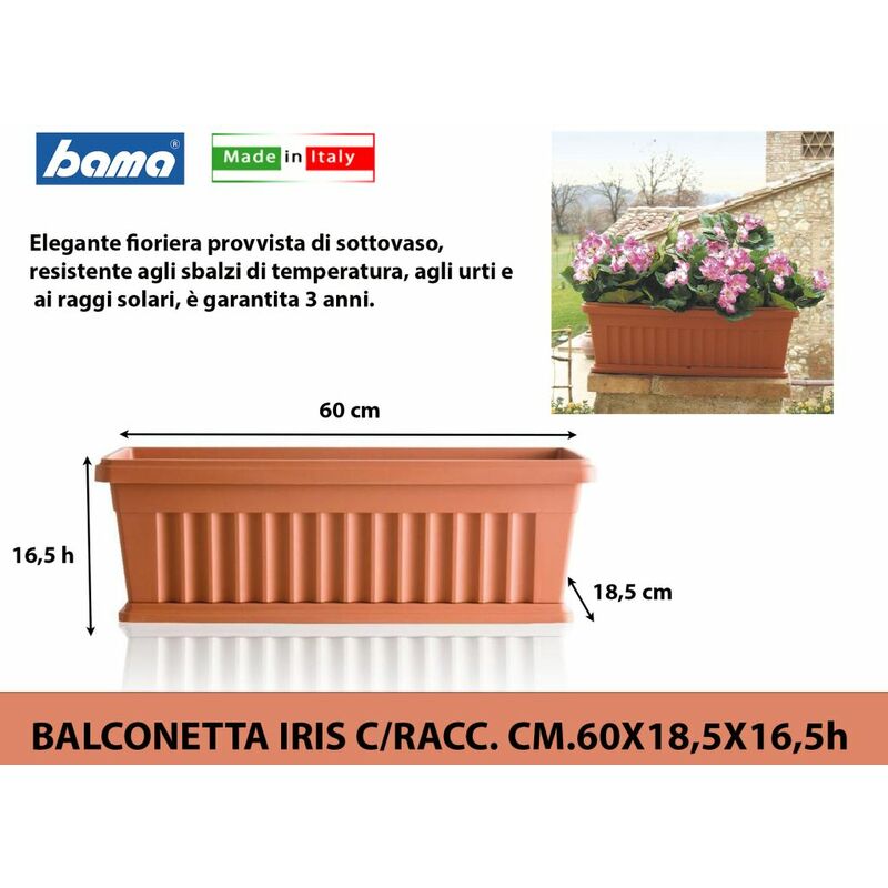 Una immagine