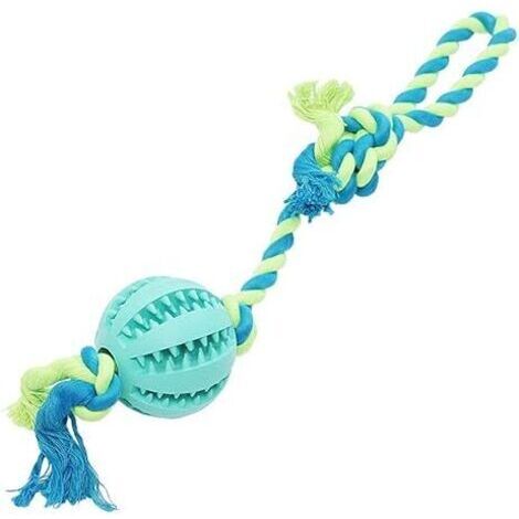 Balle de dressage de chien en caoutchouc de sécurité pour chien, chat, chien, jouet de nettoyage des dents