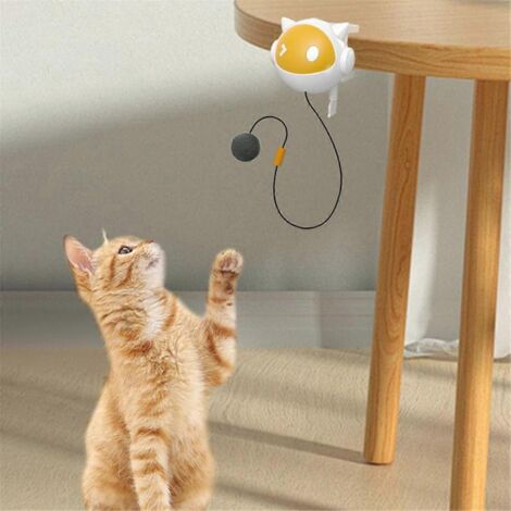 Balle interactive pour chat à suspendre - Jouet d'exercice pour chaton