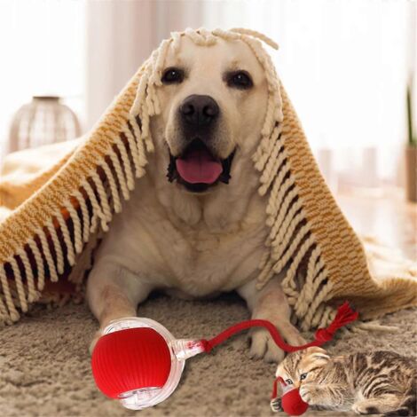 Balle interactive pour chat grise (comme sur la photo)
