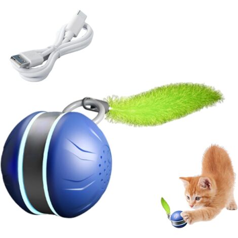 Balle Interactive pour Chat,Balle Roulante Type-C