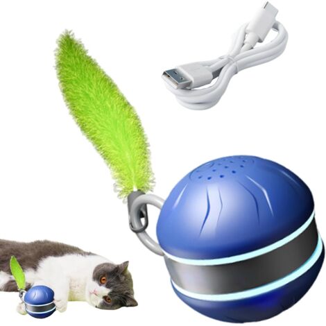 Balle Pour Chat 2 Vitesses Type C Rechargeable Jeux