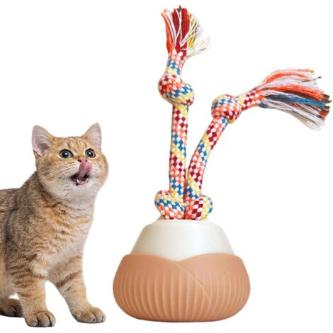 Balle pour Chat Automatique Intelligent Rechargeable Type C