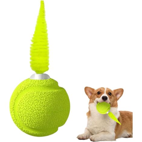 Balle pour Chat avec Plumes, Balle de Jeu pour Chaton avec