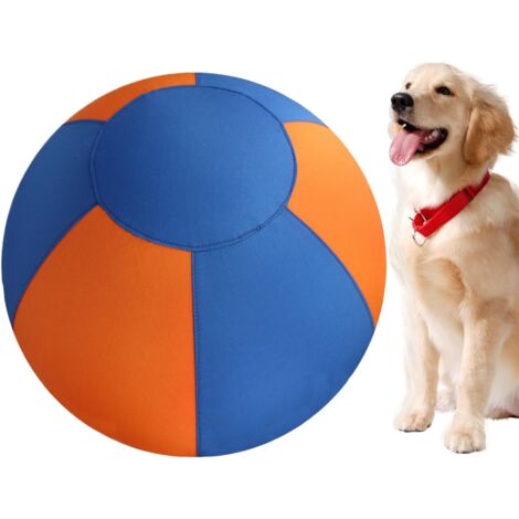 Balle pour Chien - Ballon Sautant Et Roulant pour