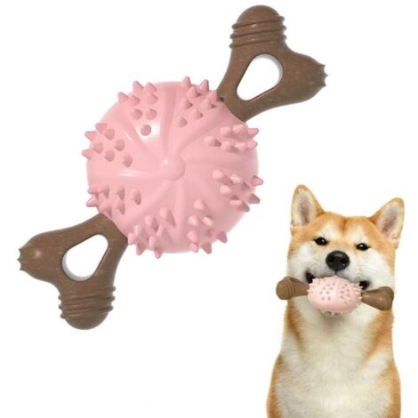 Balles à mâcher pour animaux, bâtonnets de dentition pour chiens, jouets d'interaction pour le jardin, adaptés aux chiens de petite et moyenne taille.
