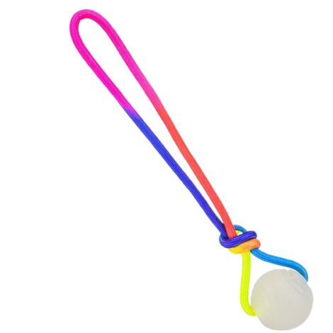 Balles Pour Chiens Mâcheurs Agressifs - Balles Lumineuses avec Corde - Jouets à Mâcher Balle de Rappel pour Chien - pour Toutes Races, Mâcheurs Agressifs, Chiots, Stimulation et Enrichissement, Intéri