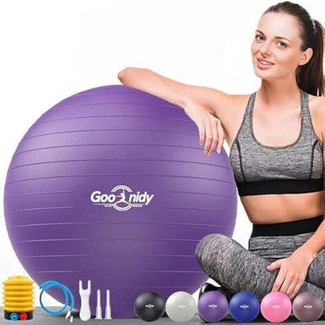 Ballon D Exercice - 2200 Lbs Résistant À L Éclatement - Pour Yoga Pilates Thérapie Physique Grossesse Bureau - 45 cm