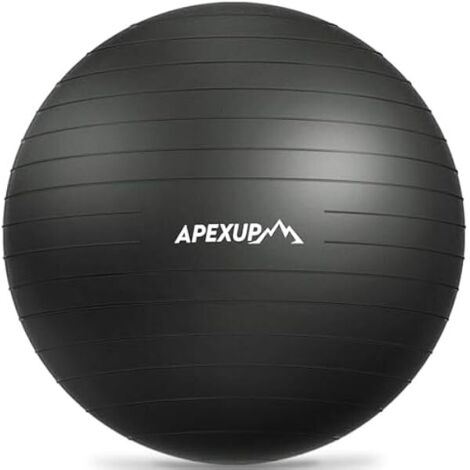 Ballon De Fitness - Ballon D Exercice En PVC Anti-Éclatement - Pour Renforcement Du Core Et Équilibre - 65 Cm - 1 Pièce