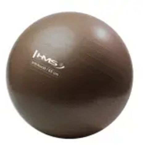Ballon de gym anti-éclatement YB02 neuf de 65 cm HMS