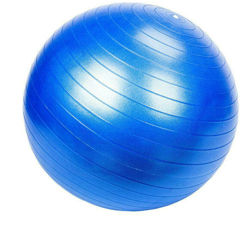 Ballon de Gym, d'Exercices Fitness, Grossesse, Pilates, Yoga, Ballon d'Equilibre D. 65 cm en PVC Anti-Eclatement (Bleu) - D-Work - Bleu