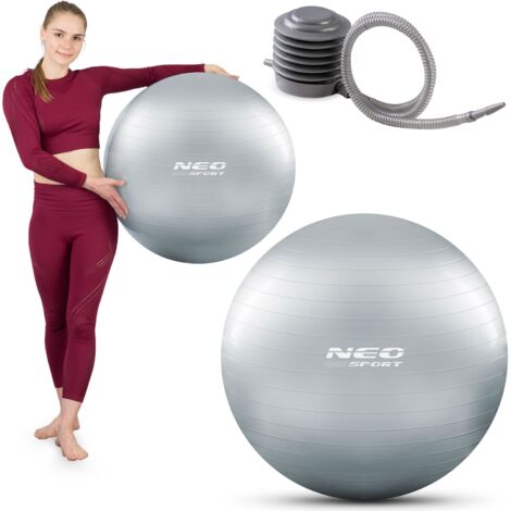 Ballon d'exercice 65 cm NS-951 argent