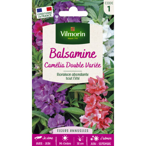 Balsamine Camélia Double Variée Vilmorin