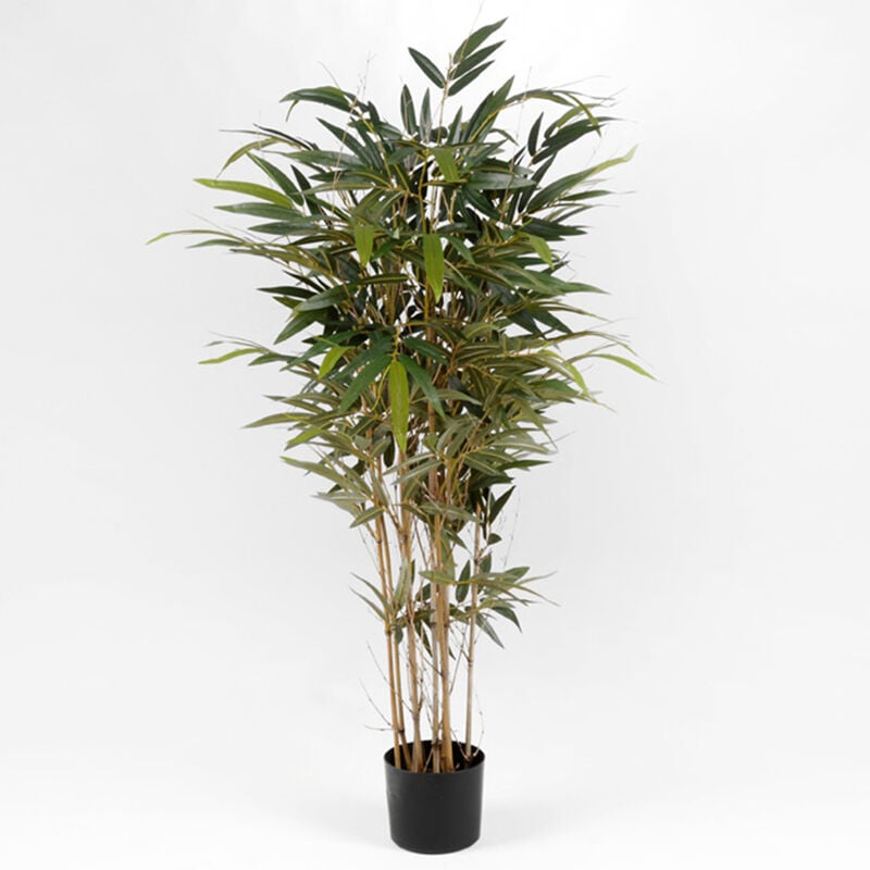 Amadeus - Bambou 150 cm - Vert