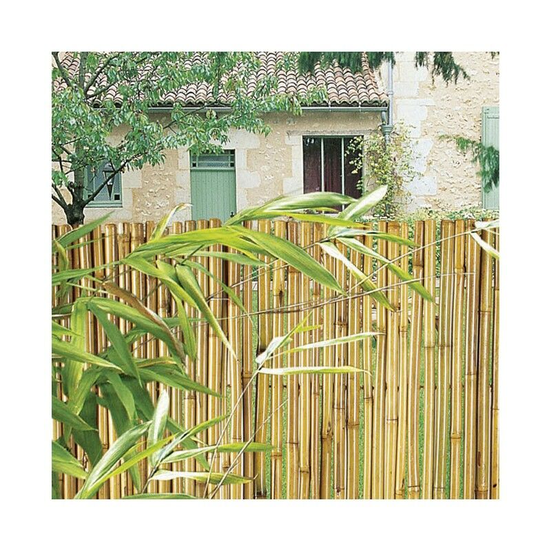 Canne de Bambou verni 2 x 3 mètres, dissimulation à 100 % avec piquage intérieur en fil métallique