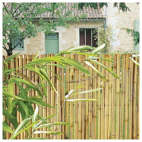Cerramiento Natural Bambú Fino de ocultación, Caña de Bambú para  cerramiento de Jardín, Rollo: 2 x 5 metros