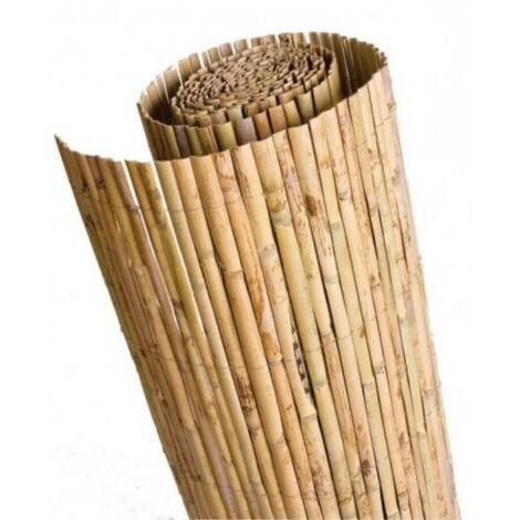 BAMBU NACIONAL MEDIA CAÑA GRANDE 2 X 5 METROS NOVEDAD 2025
