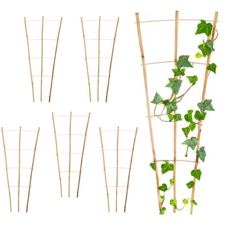 Bambus Rankgitter 75 x 35 cm natur - 6er Set - Holz Kletterhilfe konisch für Rankpflanzen