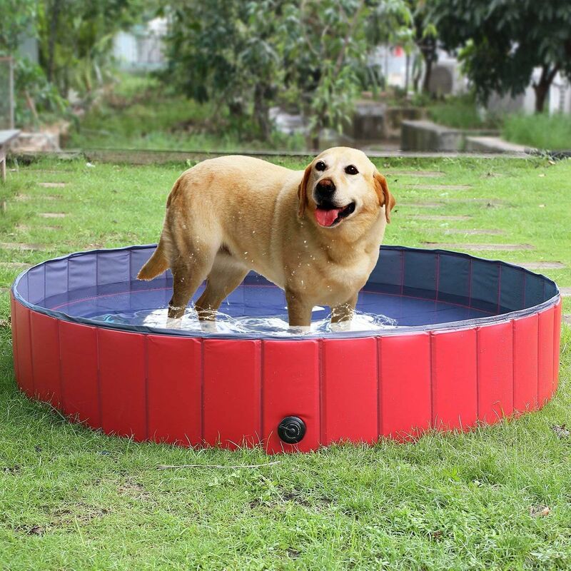 Piscine Grand pour Chien Pliable Piscine Baignoire Bassin de Baignade Bain pour Chien/Chat Animal Extérieur ou Intérieur, 120cm - Bamny