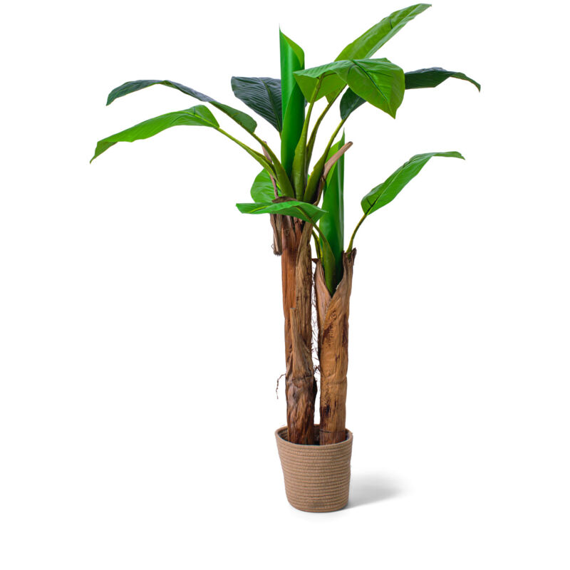 Frankystar - Banana Tree - Plante artificielle en pot H160 cm