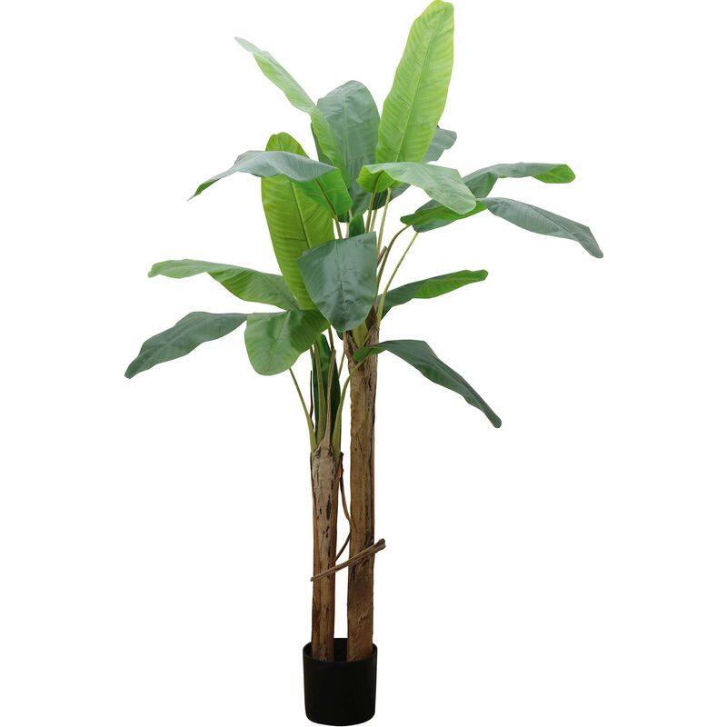 Jardindeco - Bananier artificiel 2 troncs hauteur 185 cm