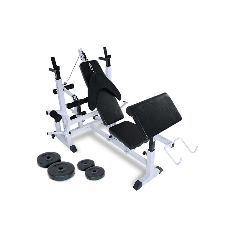 Banc De Musculation Multifonction 4 Poids Disques Inclus Gym Fitness Sport 168