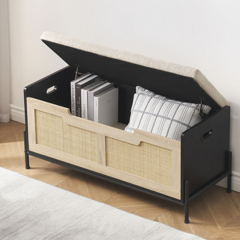 Hoerfuriy - Banc de Rangement avec Espace de Rangement,Banc Chaussures,100x40x46cm