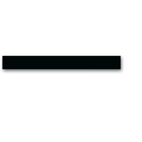 Bandeau Inf. Avec Capteur De Temp. Busch-Prion Verre Noir 2CKA006310A0164 ABB 586773