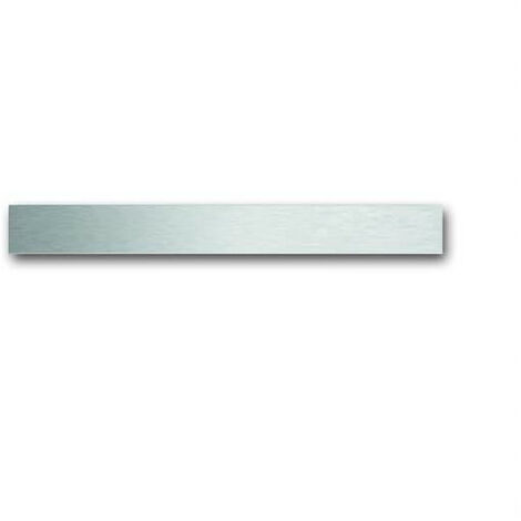 Bandeau Inférieur Standard Busch-Prion Acier Inox 2CKA006310A0152 ABB 586766
