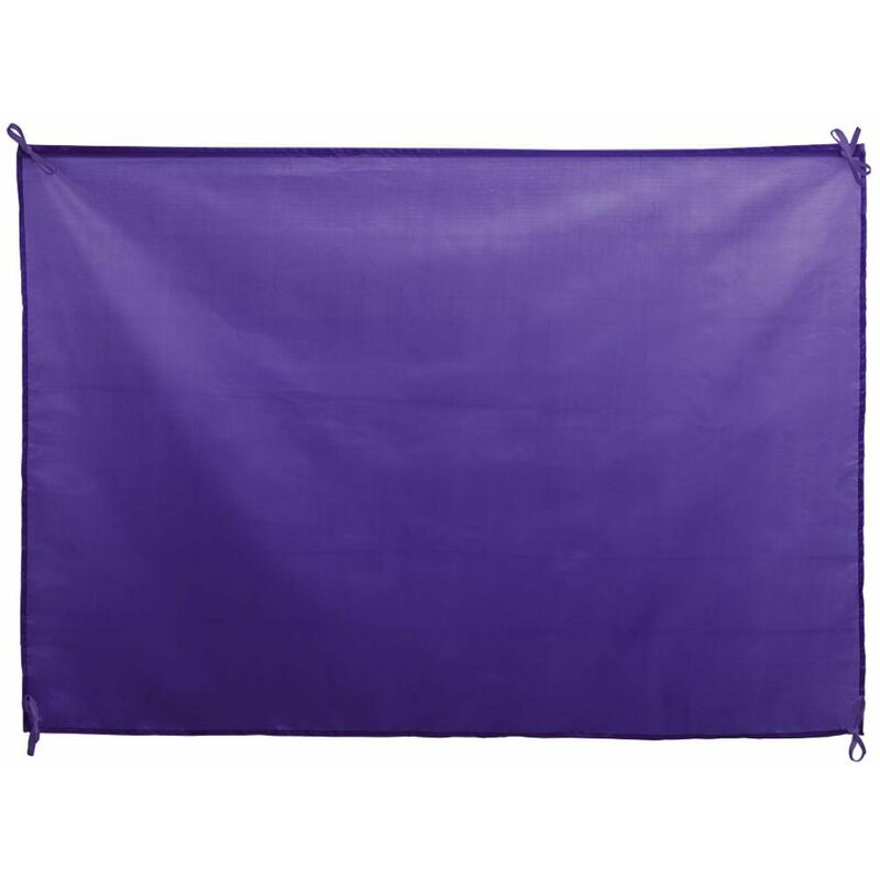 

BANDERA DAMBOR Morado