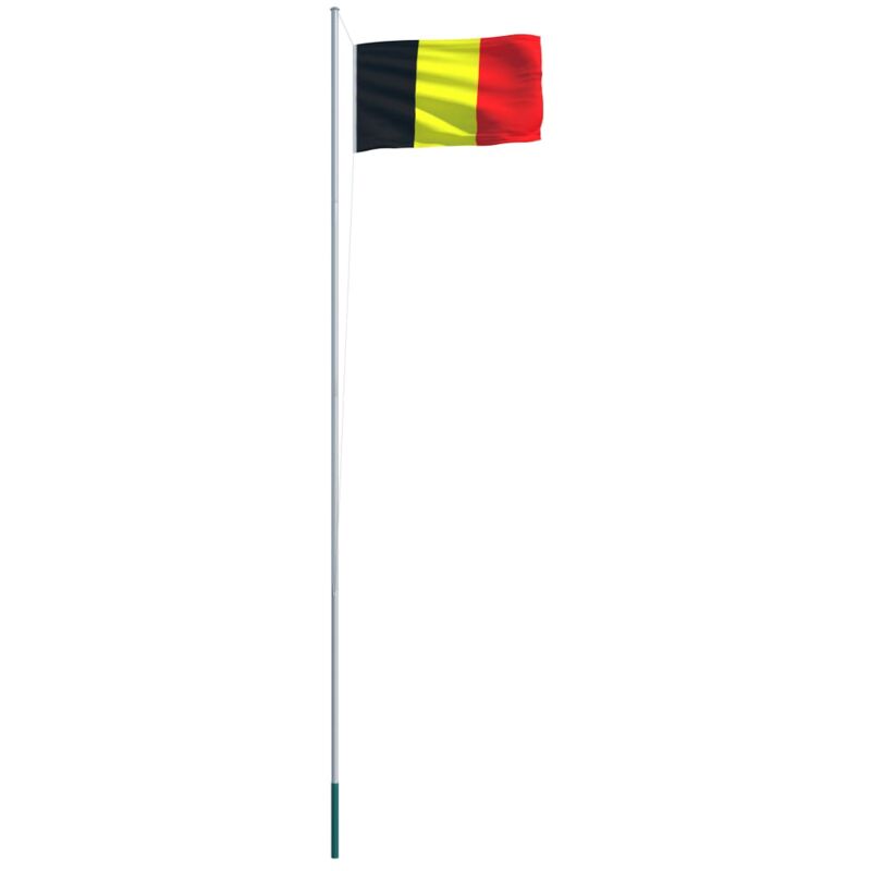 

vidaXL Bandera de Bélgica y Mástil de Aluminio 6,2 m