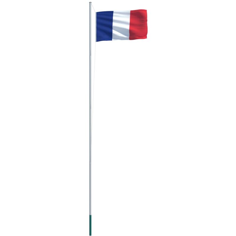 

vidaXL Bandera de Francia y Mástil de Aluminio 6,2 m