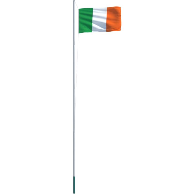 

vidaXL Bandera de Irlanda y Mástil de Aluminio 6,2 m