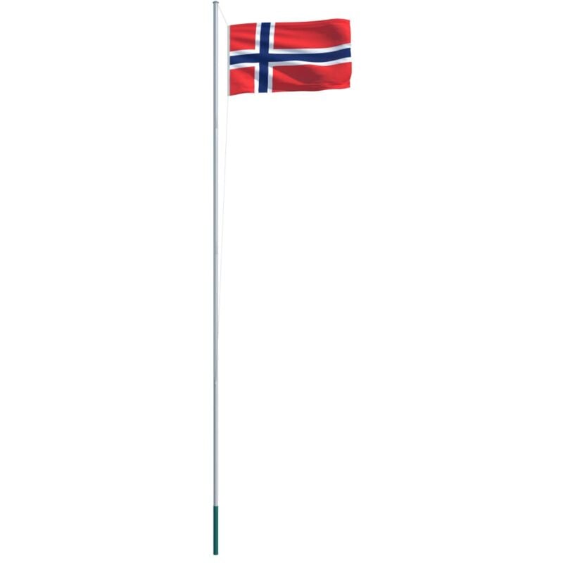 

vidaXL Bandera de Noruega y Mástil de Aluminio 6,2 m